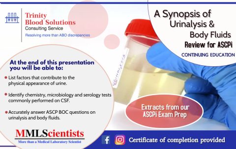 Synopsis of Urinalysis Body Fluids (3) - Made with PosterMyWall