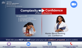 Untitled design (19)