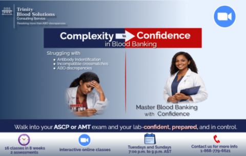 Untitled design (19)